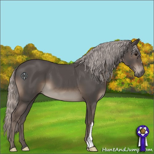 Horse Color:Silver Black 