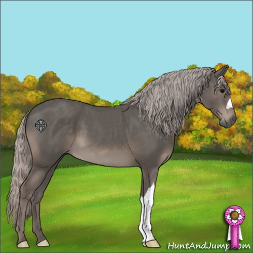 Horse Color:Silver Black 