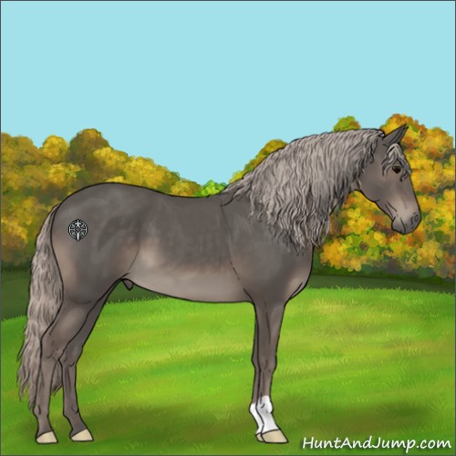 Horse Color:Silver Black 