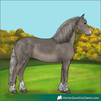 Horse Color:Silver Black 