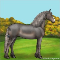 Horse Color:Silver Black 