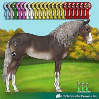 Horse Color:Silver Black 