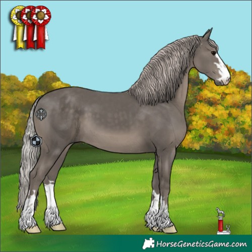 Horse Color:Silver Black 