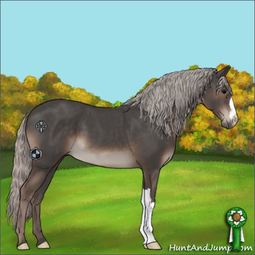 Horse Color:Silver Black 