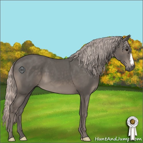 Horse Color:Silver Black 