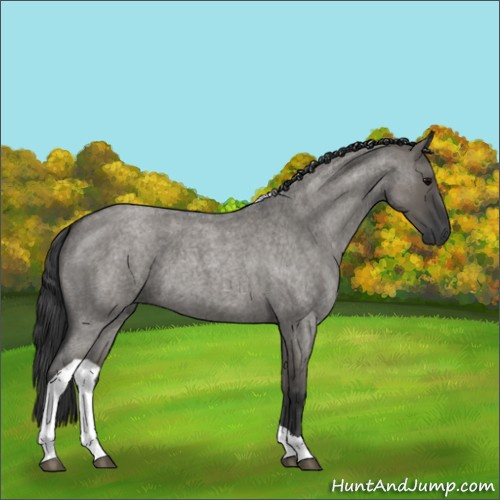 Horse Color:Grullo Roan Tobiano 