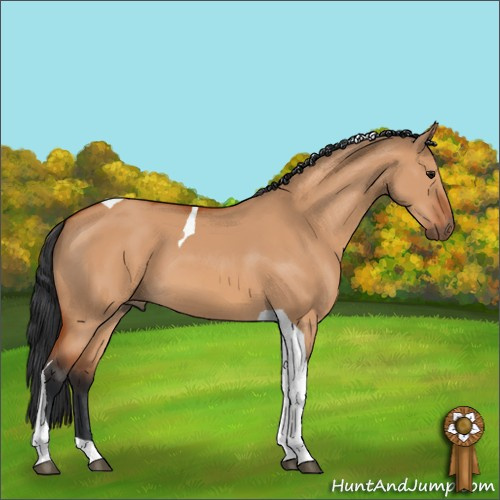 Horse Color:Bay Dun Tobiano 