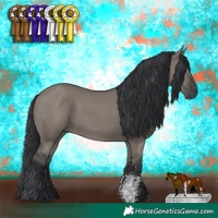Horse Color:Grullo Sabino Rabicano 