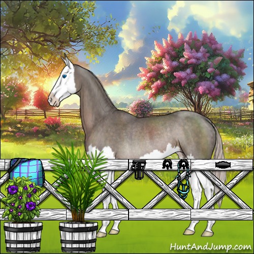 Horse Color:Silver Blue Roan Splash Rabicano