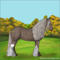 Horse Color:Silver Black 