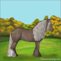 Horse Color:Silver Black Rabicano 