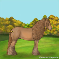 Horse Color:Chestnut Rabicano 