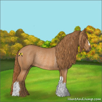 Horse Color:Chestnut Rabicano 