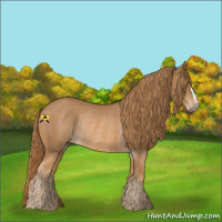 Horse Color:Chestnut Rabicano 