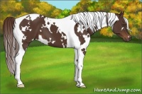 Horse Color:White Spotted Liver Chestnut Tobiano