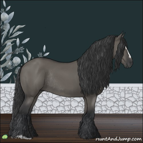 Horse Color:Grullo Sabino Rabicano