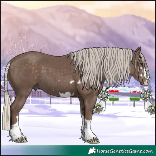 Horse Color:Silver Black 