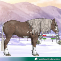 Horse Color:Silver Black 