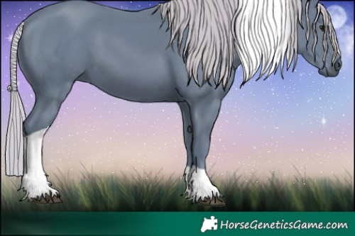 Horse Color:Watercolor Silver Black Tobiano 
