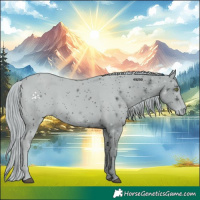 Horse Color:ERROR: UNKNOWN ANOMALY