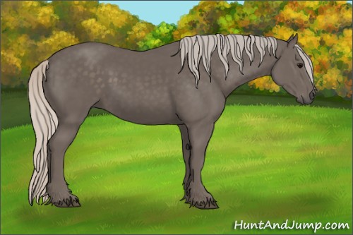 Horse Color:Silver Black 
