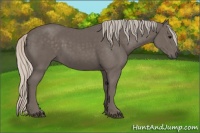 Horse Color:Silver Black 