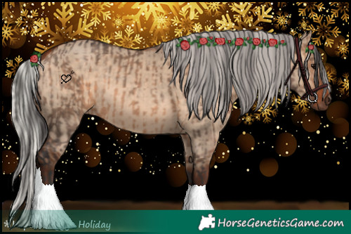 Horse Color:Bay Dun  and Silver Bay Dun 
