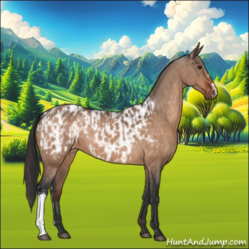 Horse Color:Brown Dun and Brown Dun Appaloosa