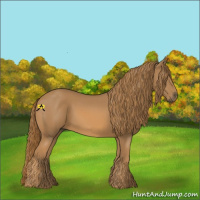 Horse Color:Chestnut Rabicano 