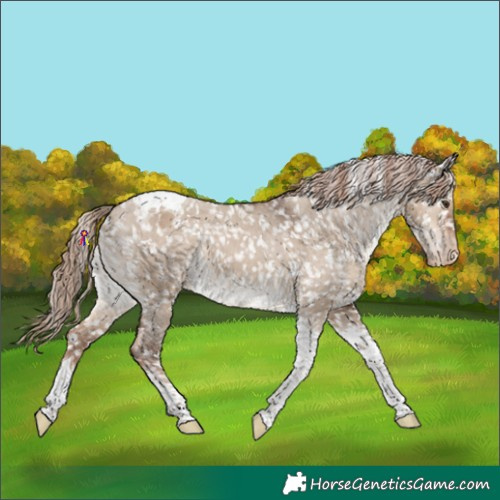 Horse Color:Liver Red Dun Tobiano Snowflake Varnish 