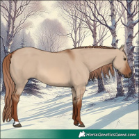 Horse Color:Red Dun 