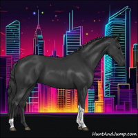 Horse Color:Black Tobiano 
