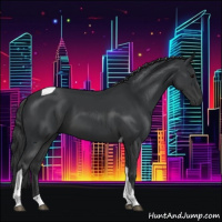 Horse Color:Black Tobiano 