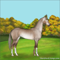 Horse Color:Gray Liver Red Dun Mushroom Rabicano