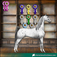 Horse Color:Blue Roan Rabicano  and Smoky Black Varnish Rabicano 