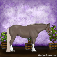 Horse Color:Silver Black 