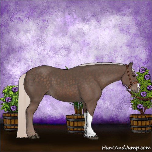 Horse Color:Silver Black 