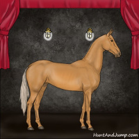Horse Color:Palomino 