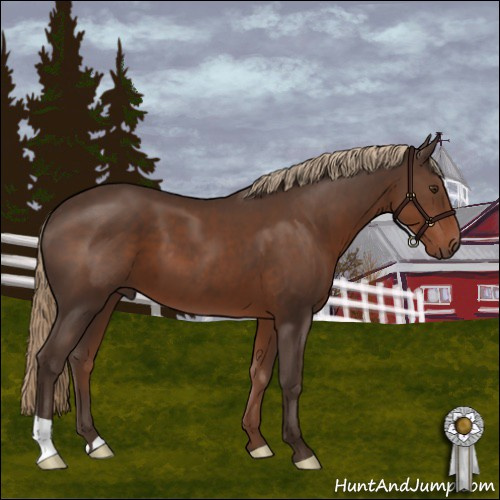 Horse Color:Liver Chestnut 