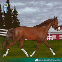 Horse Color:Chestnut 