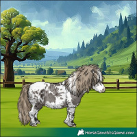 Horse Color:Smoky Grullo Splash Tobiano Blanket 