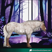 Horse Color:Silver Blue Roan Frame 