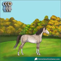 Horse Color:Sable Champagne Dun Rabicano 