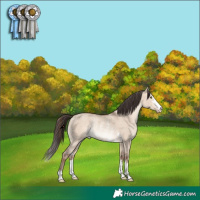 Horse Color:Sable Champagne Dun Rabicano 