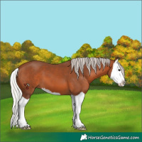 Horse Color:Silver Brown Splash 