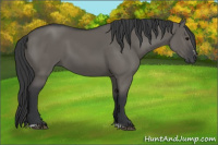 Horse Color:Grullo Sabino Rabicano 