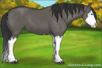 Horse Color:Grullo Sabino Splash and Grullo Sabino Splash Rabicano