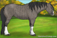 Horse Color:Grullo Sabino Splash  and Grullo Sabino Splash 