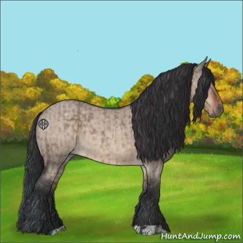 Horse Color:Brown Roan Dun  and Brown Roan Dun 