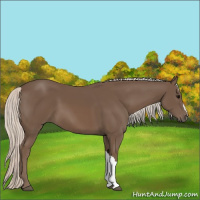 Horse Color:Silver Black 